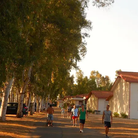 Holiday park Bazia Camping *